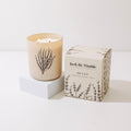 Duvet Luxury Soy Candle - 12oz