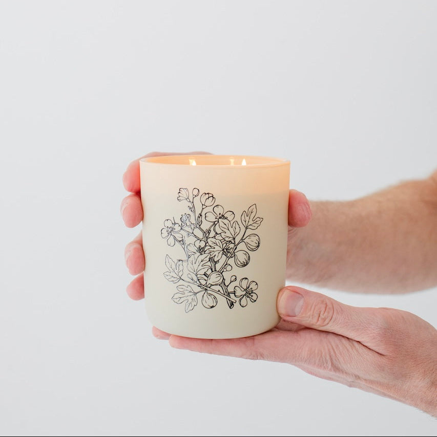 Orchard Luxury Soy Candle - 12oz