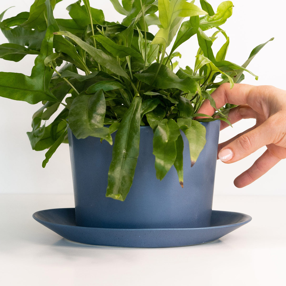 Geometric Oval Porcelain Planter